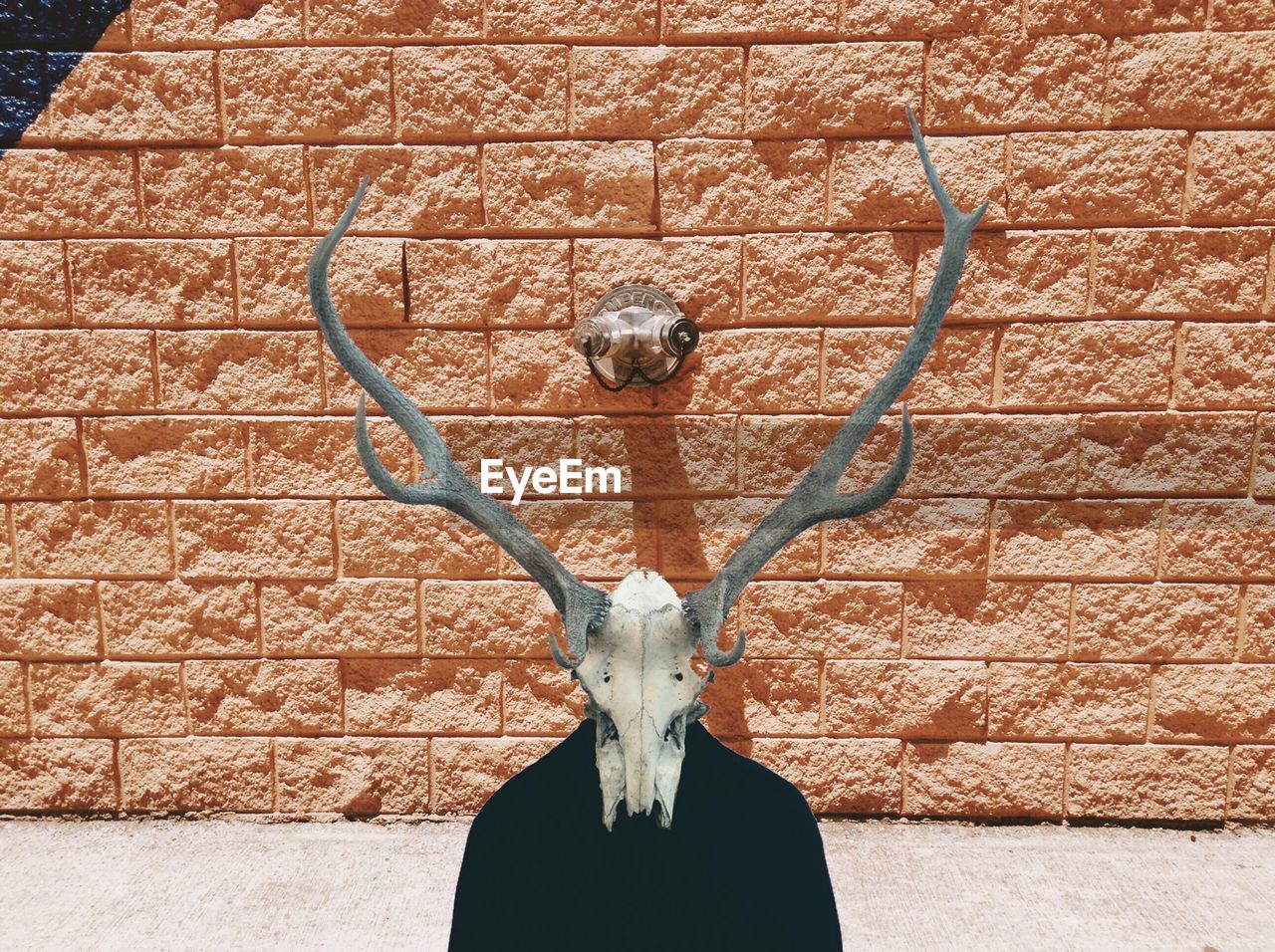 Person wearing deer skull against brick wall