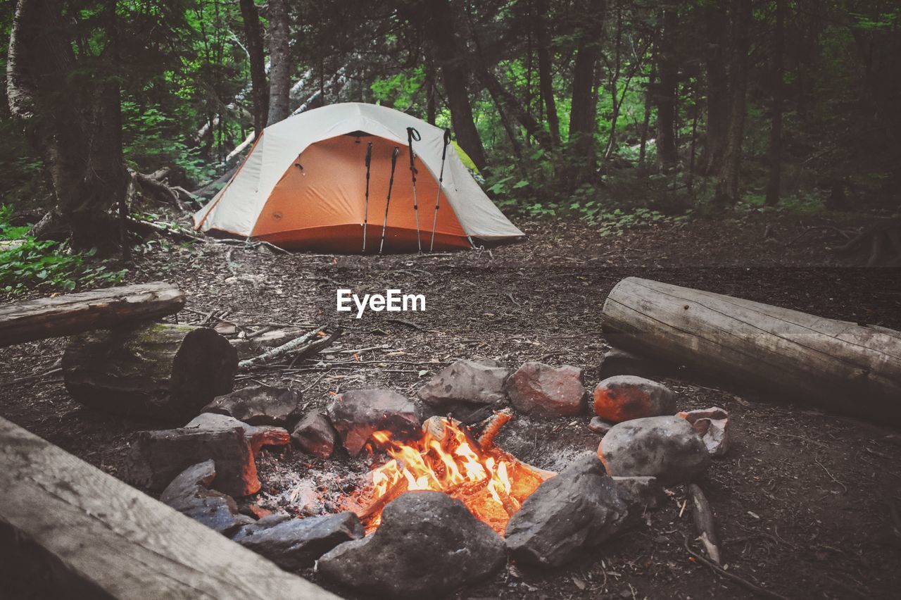 Tent in forest