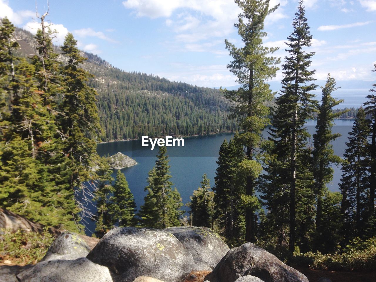 Scenic view of trees and lake against sky
