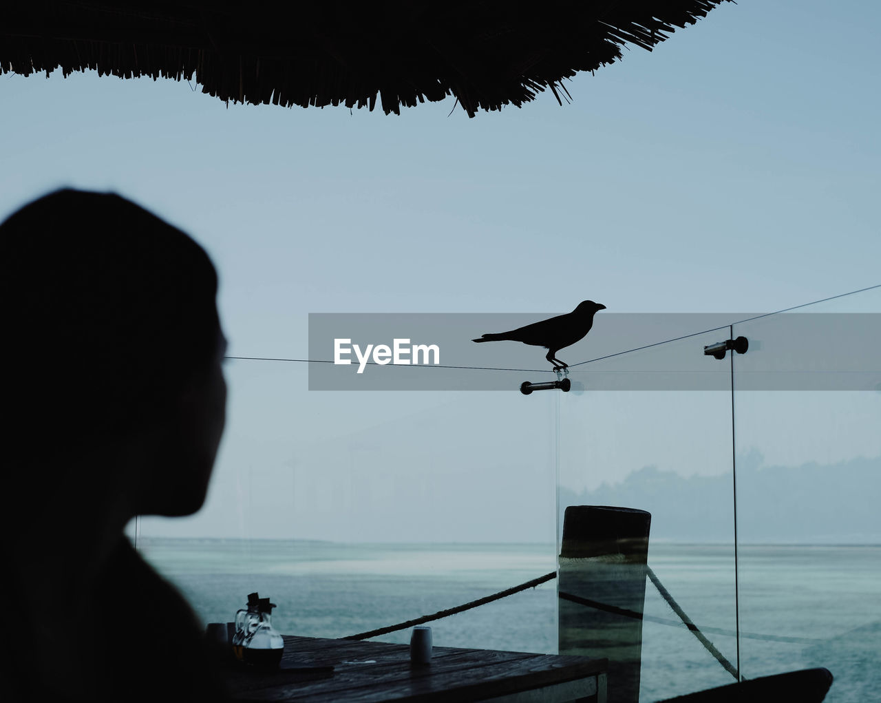 Silhouette woman looking at bird perching against sea