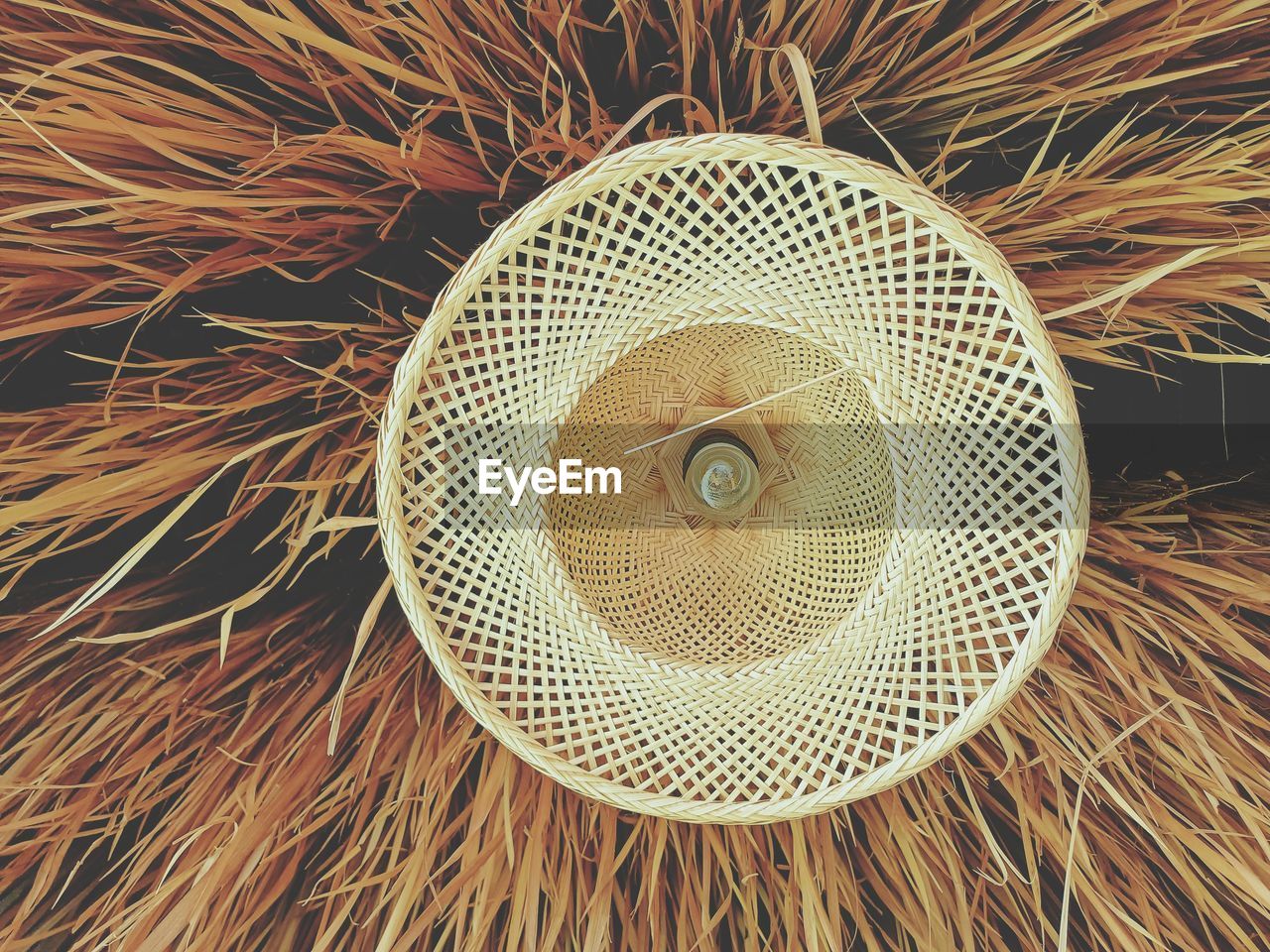 Full frame shot of plant,hay with basket, ,low angle view of ceiling