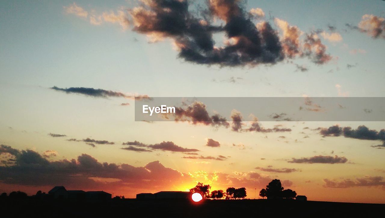 SILHOUETTE OF TREES AT SUNSET