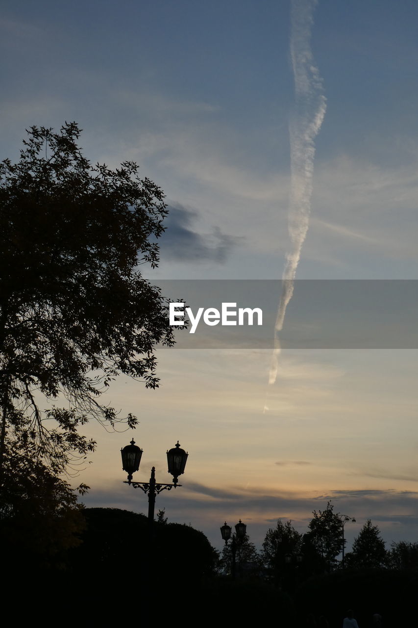 Low angle view of silhouette trees against sky during sunset