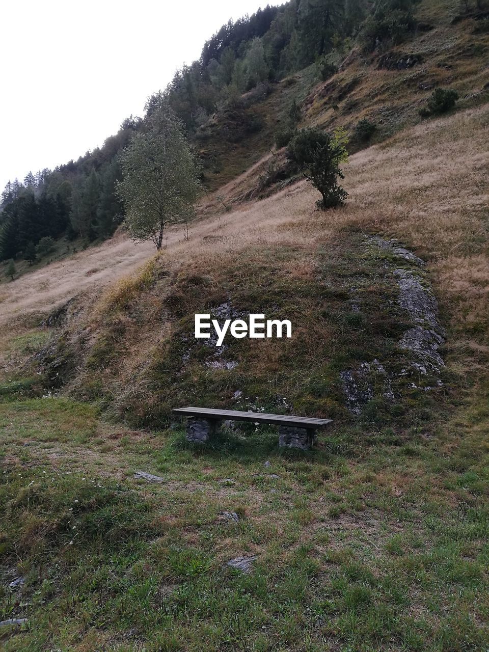 VIEW OF LANDSCAPE AGAINST CLEAR SKY