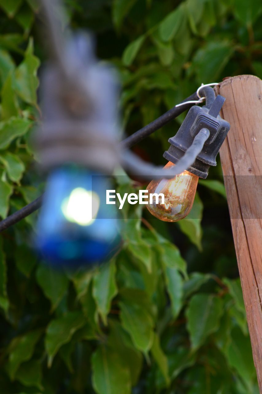 Close-up of illuminated light bulbs