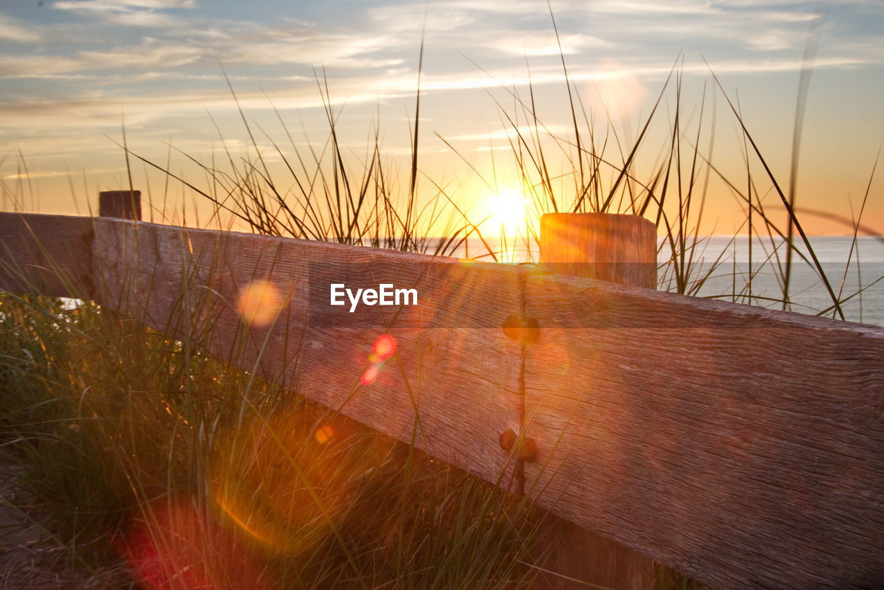 CLOSE-UP OF GRASS AGAINST SKY DURING SUNSET