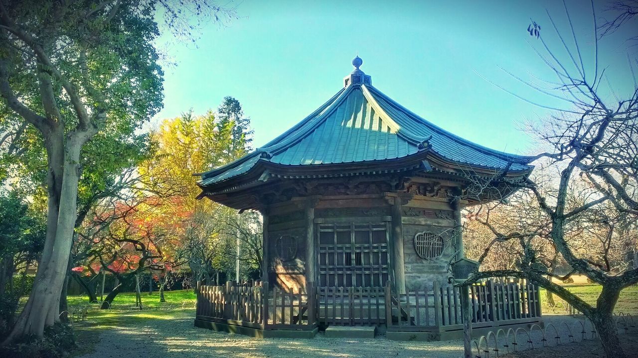 VIEW OF BUILT STRUCTURE WITH TREES IN FOREGROUND