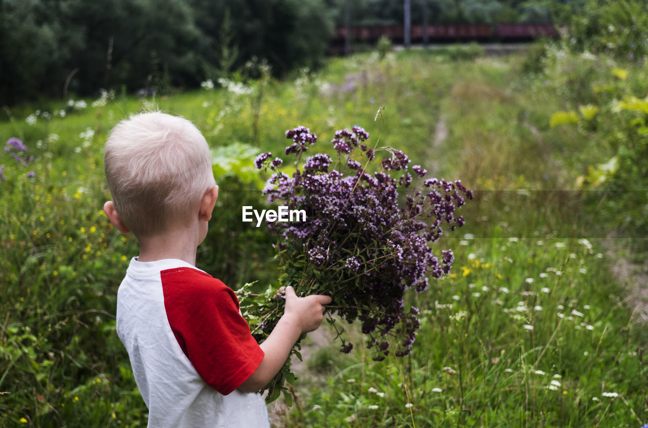 Rear view of boy with purple flowers