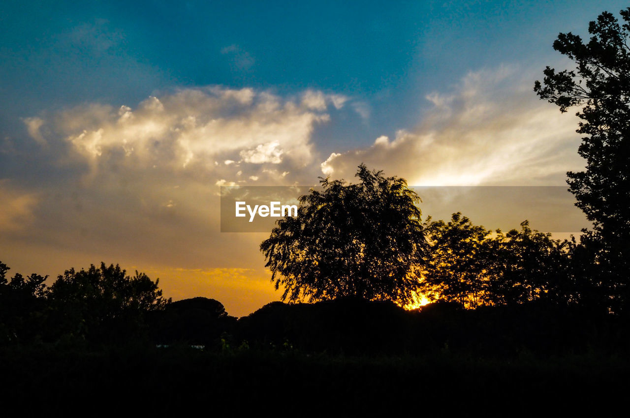 Low angle view of silhouette trees against sky during sunset