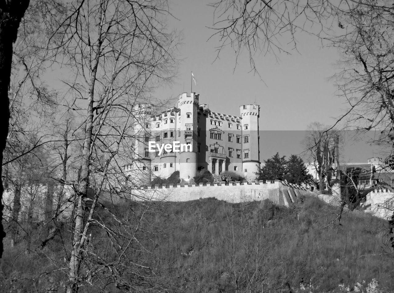 BARE TREES AND BUILDING AGAINST SKY