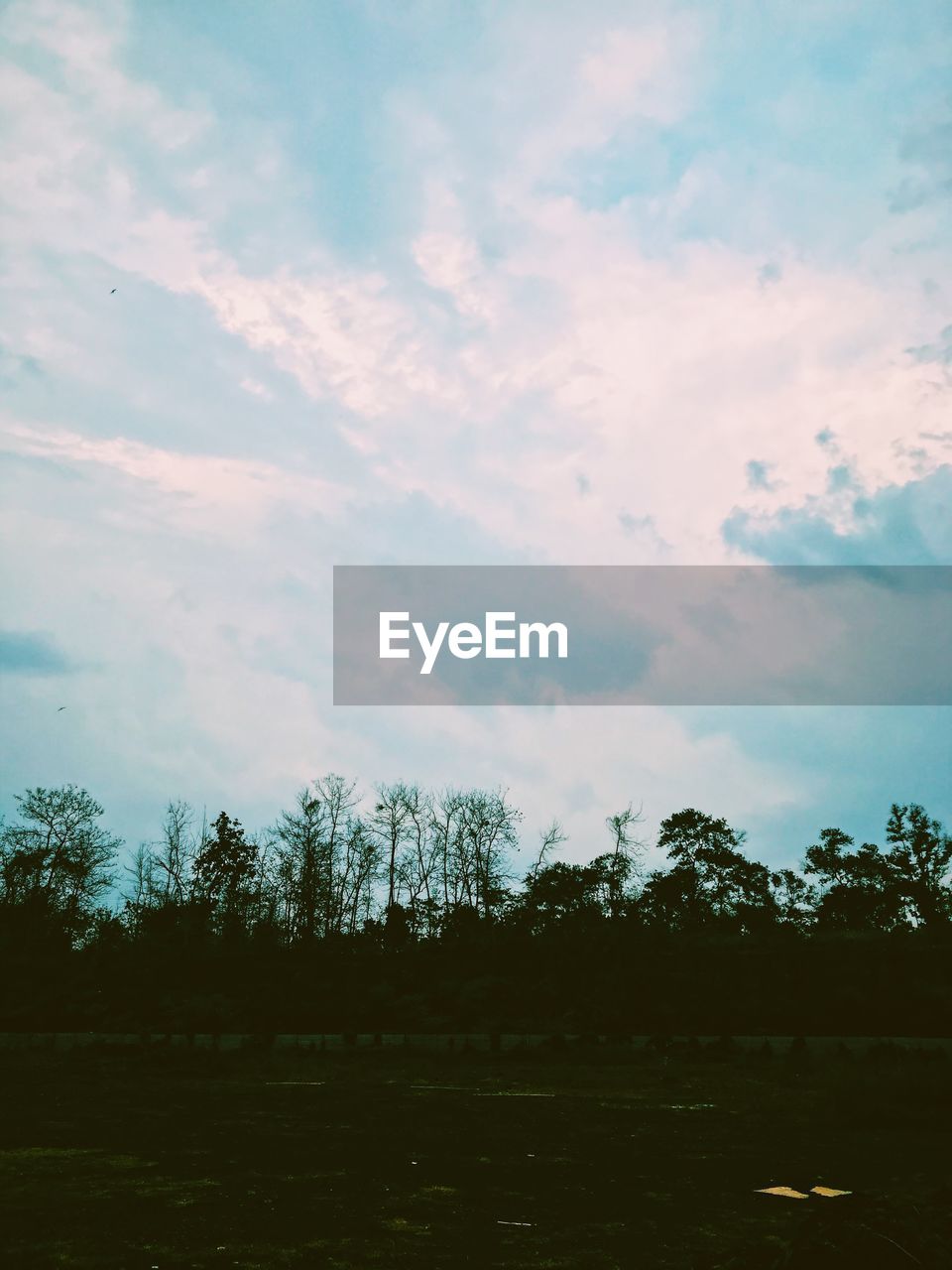 SCENIC VIEW OF SILHOUETTE TREES AGAINST SKY