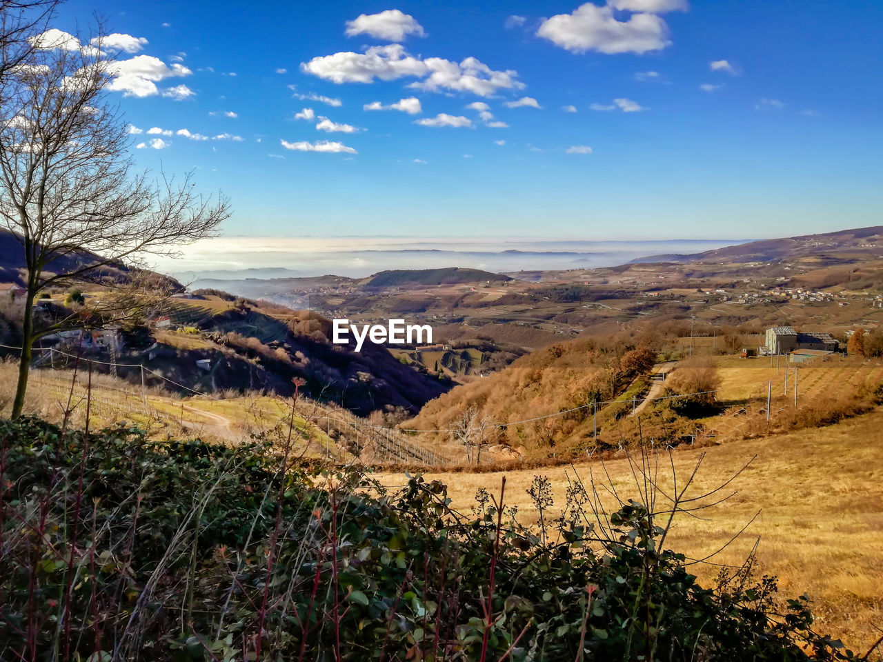 Scenic view of landscape against sky