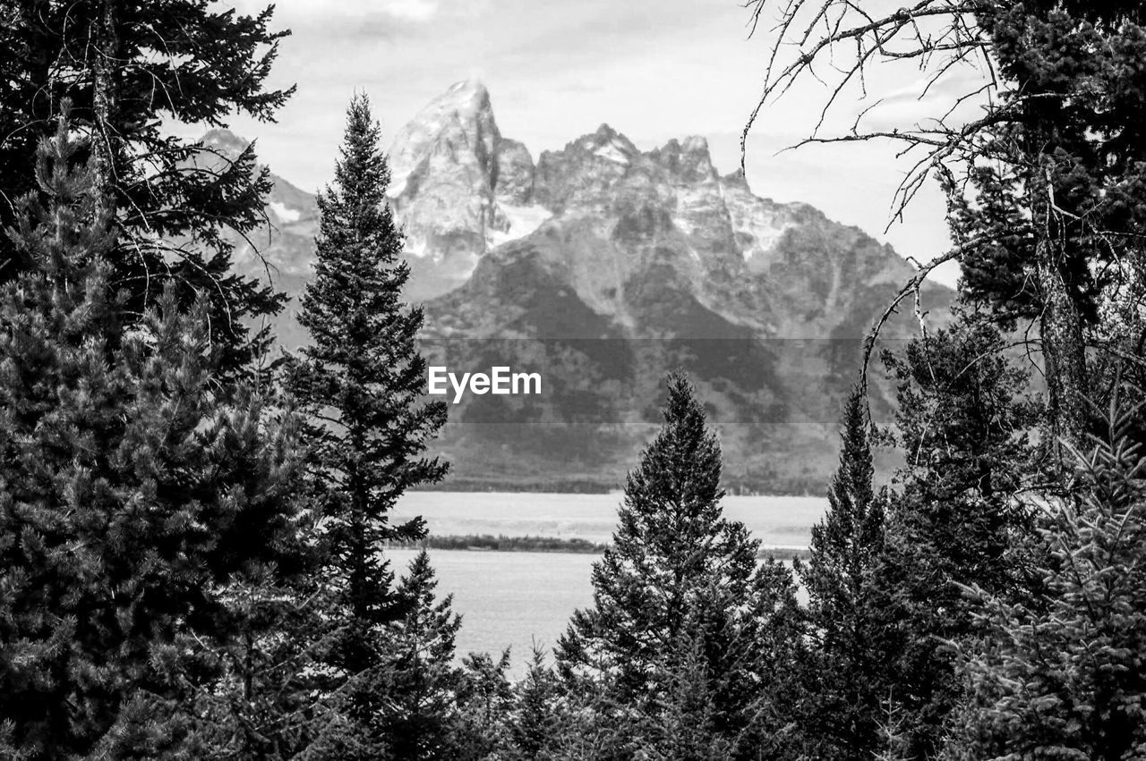 SCENIC VIEW OF LAKE WITH MOUNTAINS IN BACKGROUND