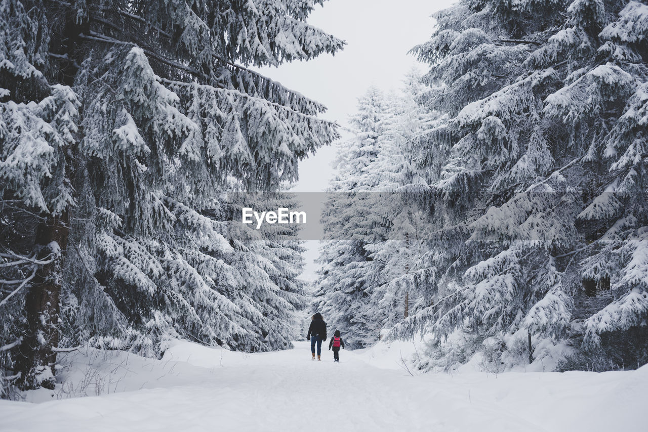 Rear view of people on snow covered landscape