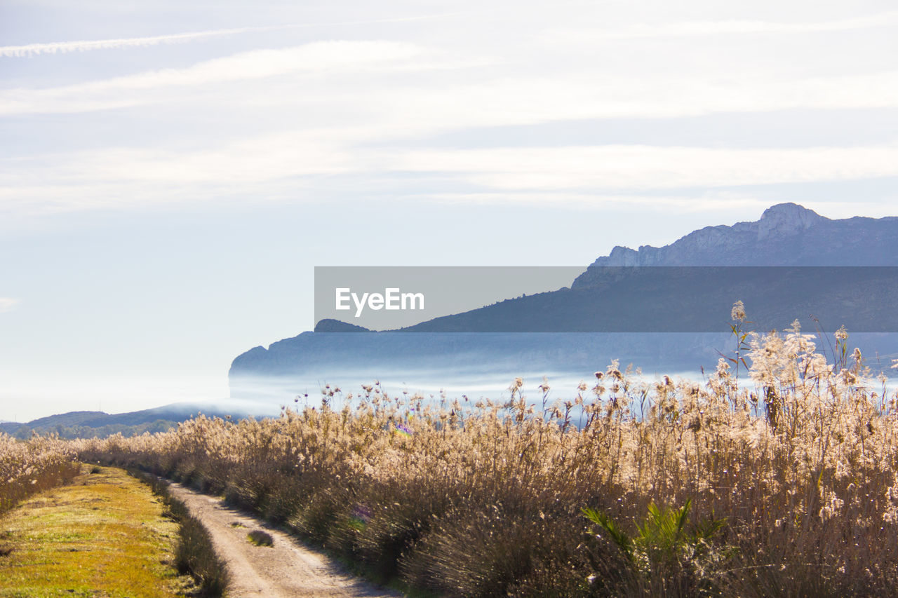 PANORAMIC VIEW OF LANDSCAPE AGAINST SKY