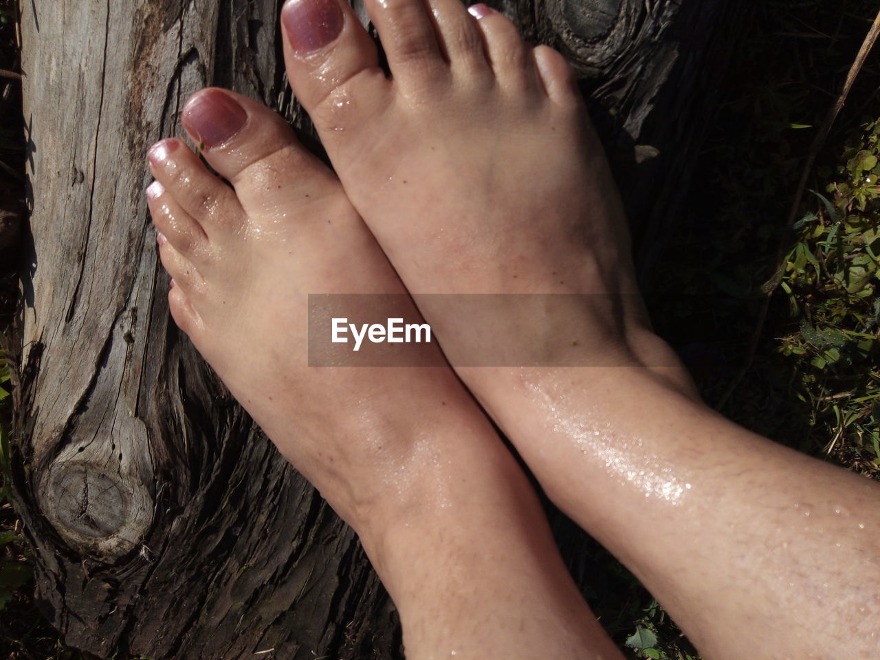 human leg, barefoot, human foot, limb, relaxation, adult, one person, nature, low section, women, finger, hand, human limb, lifestyles, leisure activity, plant, close-up, toe, land, high angle view, day, outdoors, toenail, arm, nail, resting, personal perspective