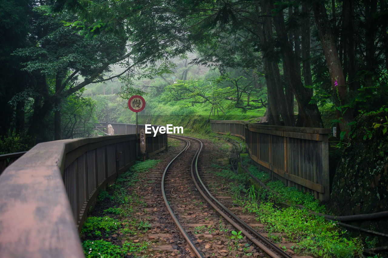 Railroad tracks by trees in forest with fog in the background at a taiwan mountain