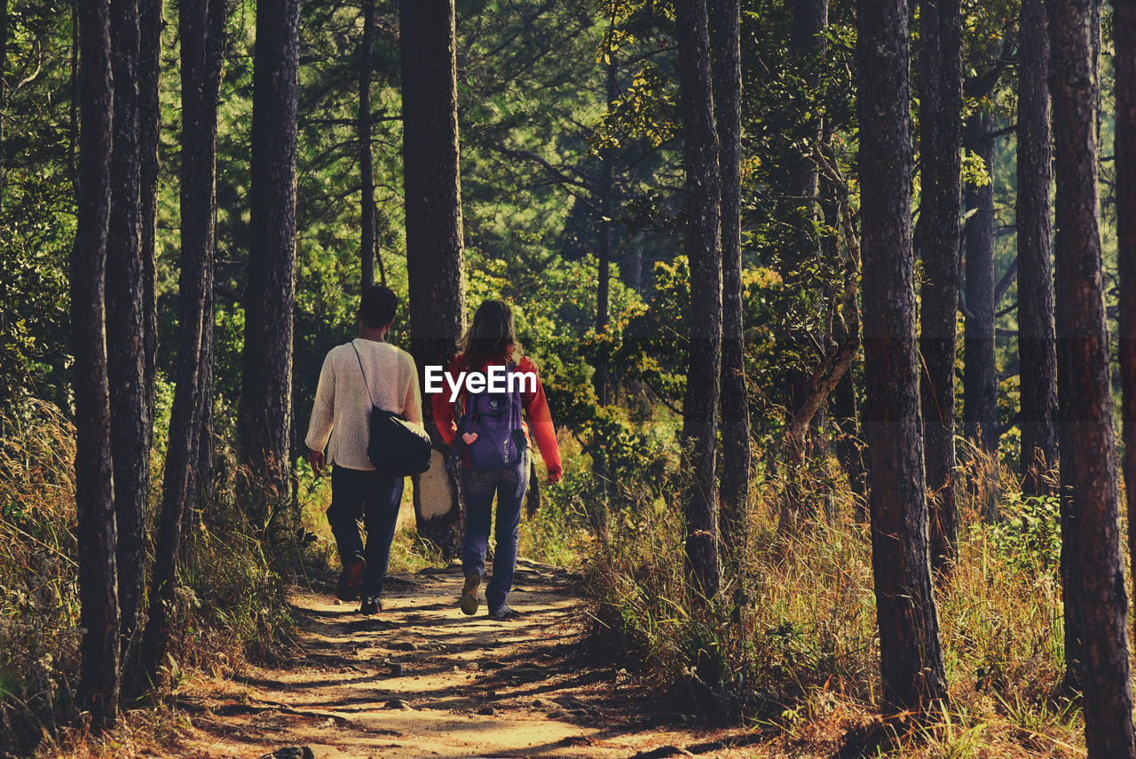 Rear view of people walking in forest