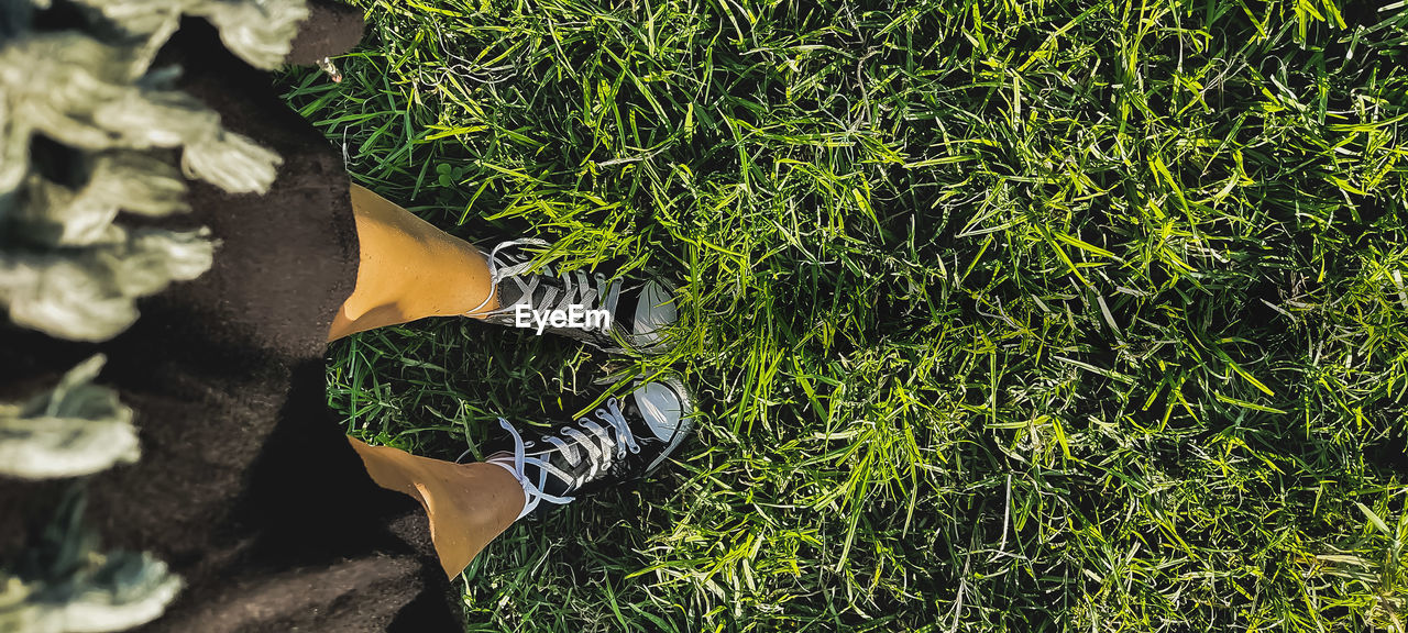 Low section of person standing on field