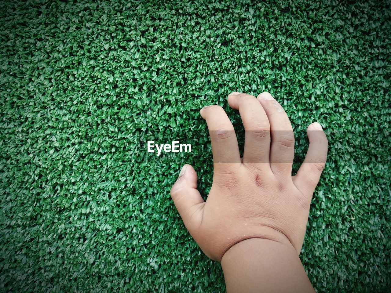 Close-up children hand on green grass