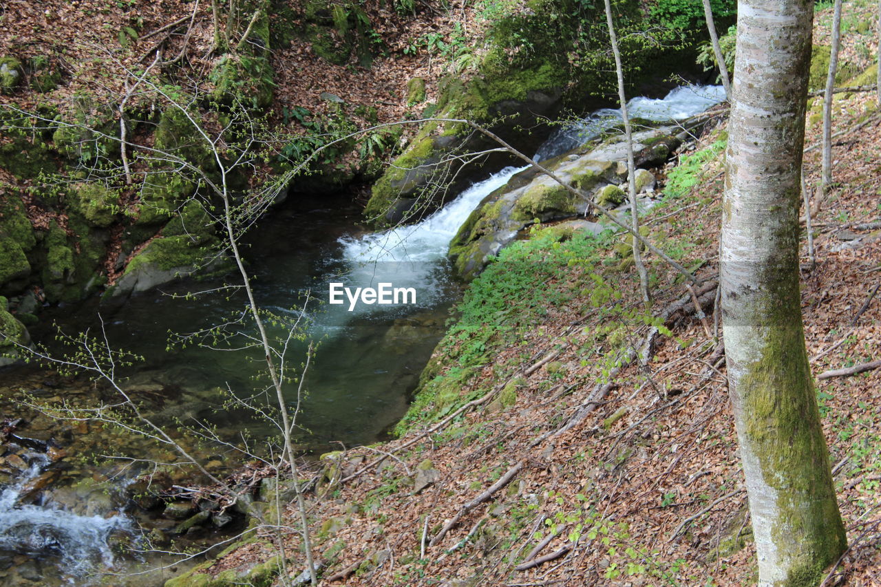 CLOSE-UP OF STREAM FLOWING OVER RIVER