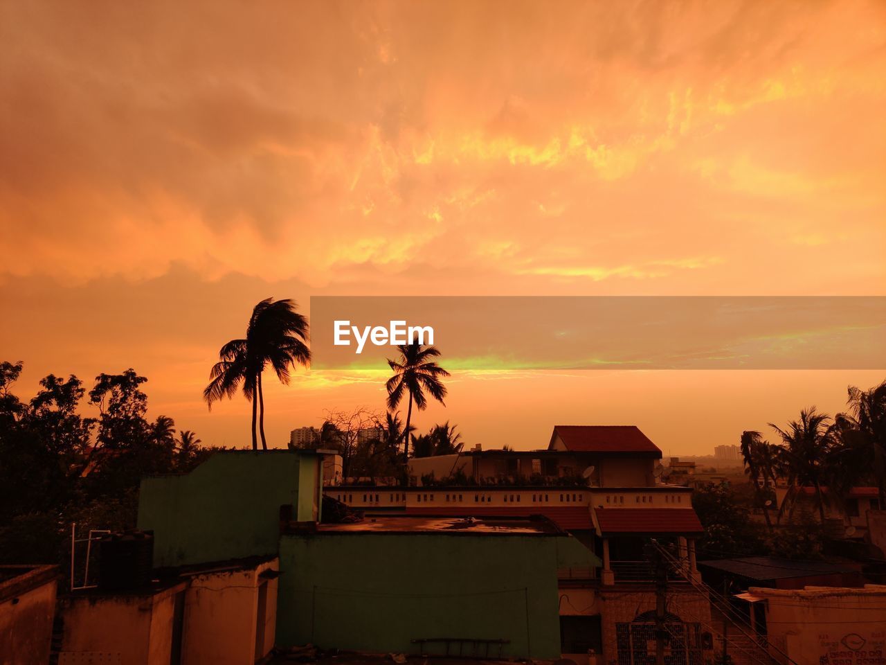 SILHOUETTE PALM TREES AGAINST ORANGE SKY