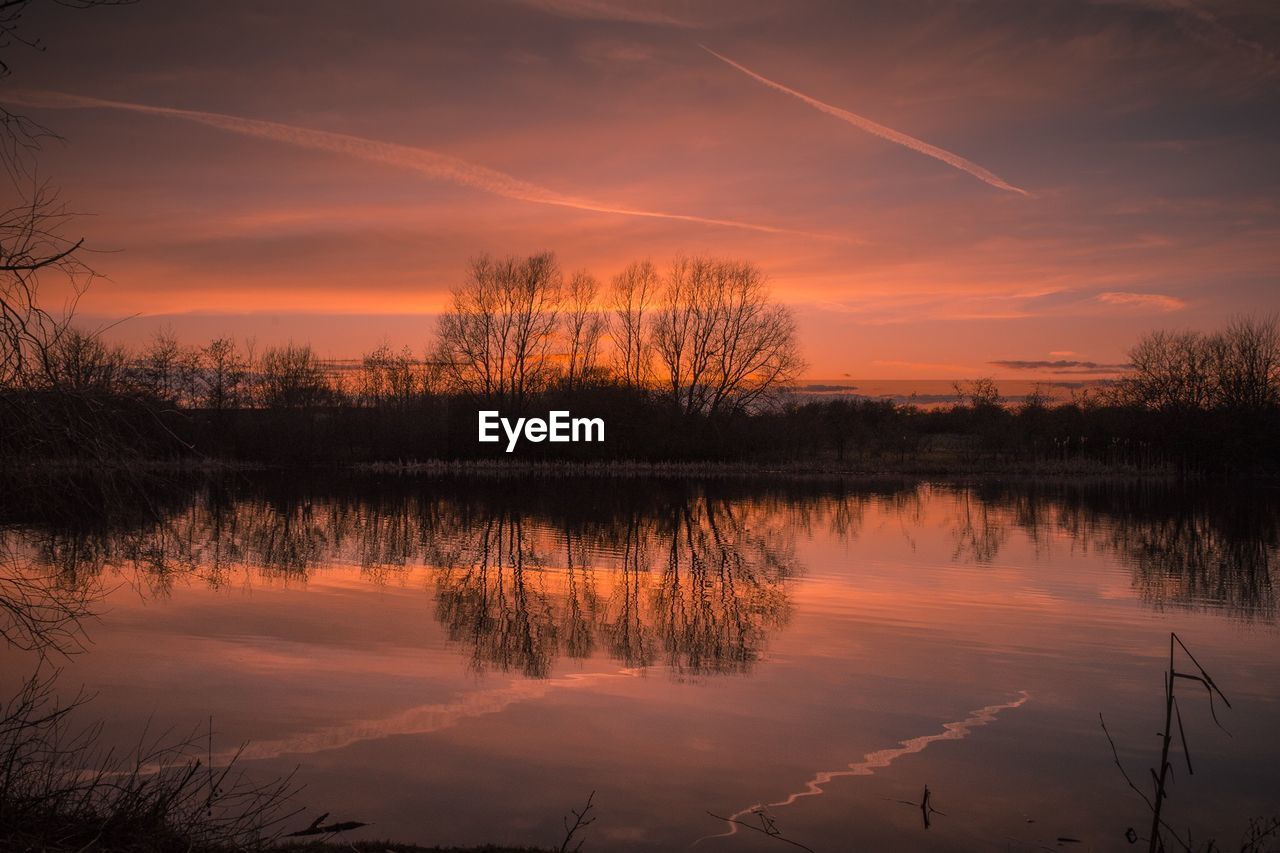 Reflection of trees in lake during sunset