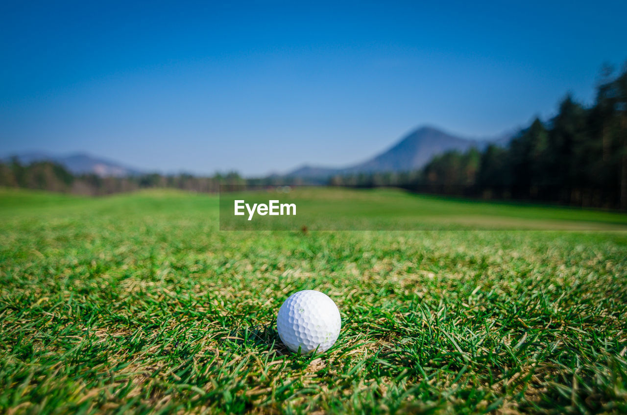 Golf ball on grass against clear sky