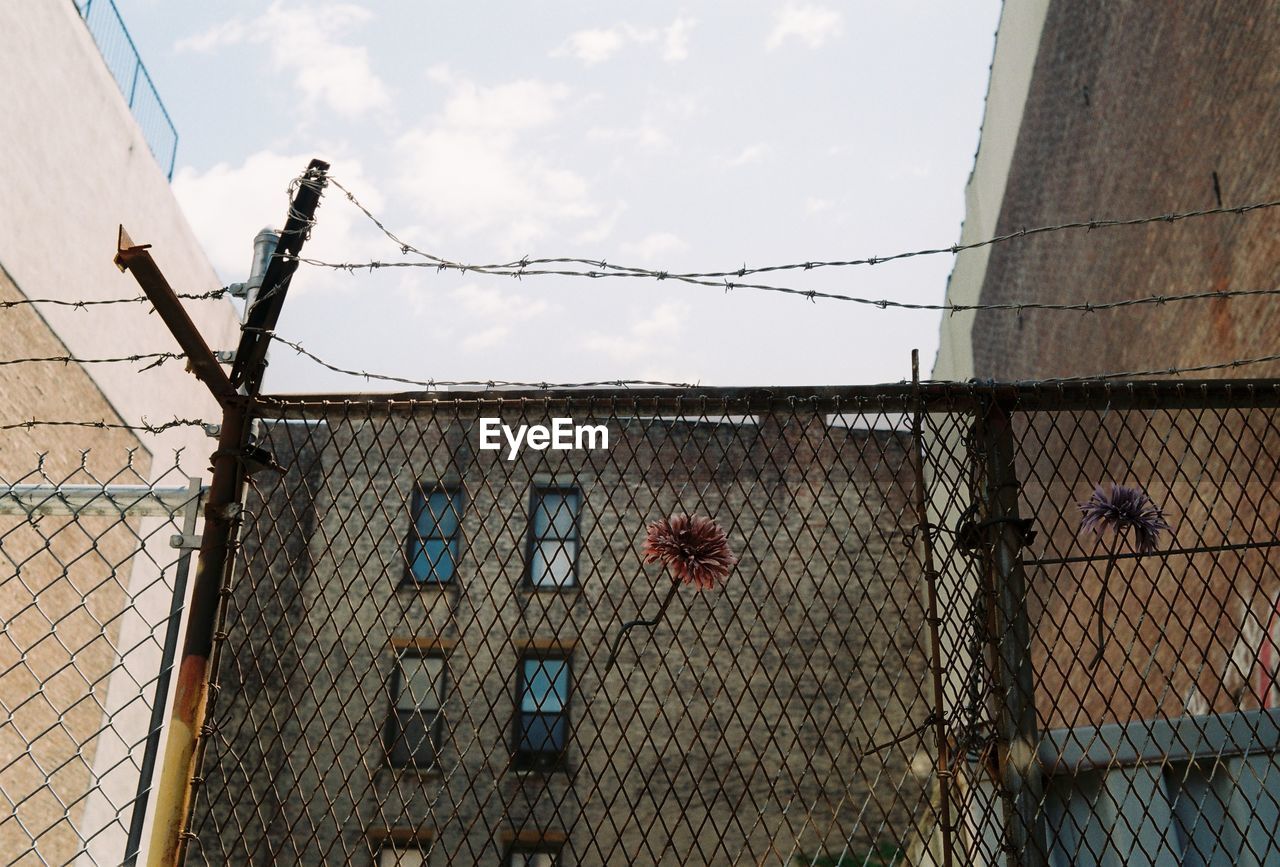 LOW ANGLE VIEW OF FENCE AGAINST BUILDING