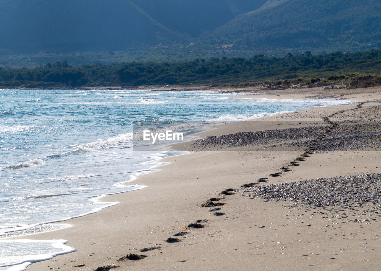 Scenic view of beach