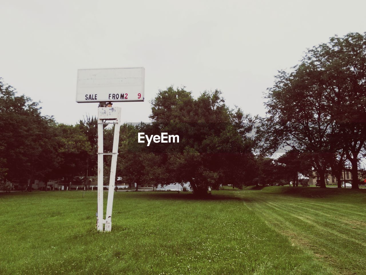 Board in park against clear sky