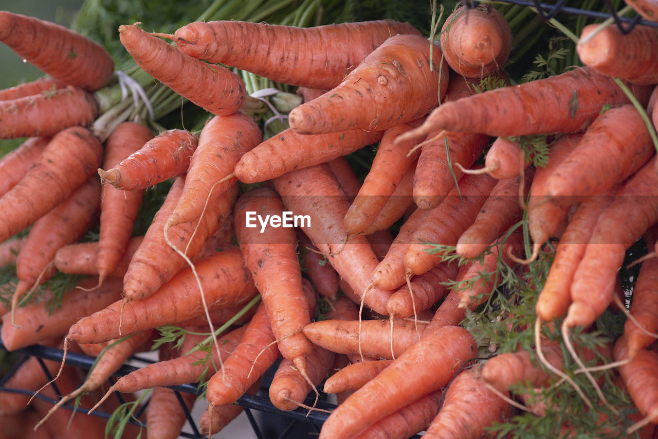 FULL FRAME SHOT OF CARROTS