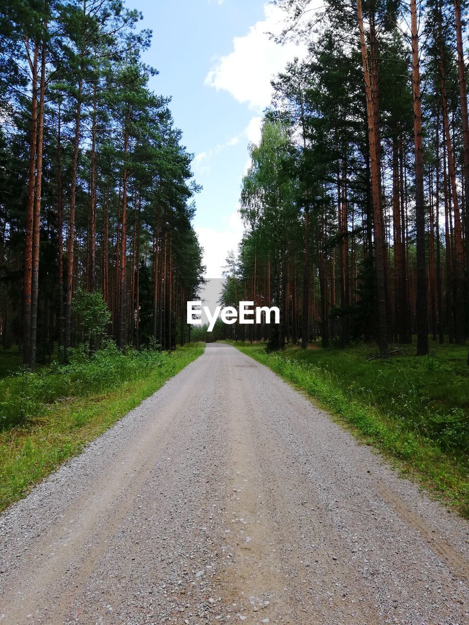 EMPTY ROAD AMIDST TREES AGAINST SKY