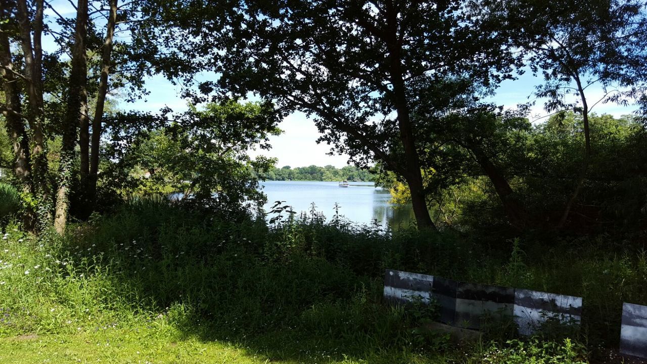 Scenic view of lake by trees against sky