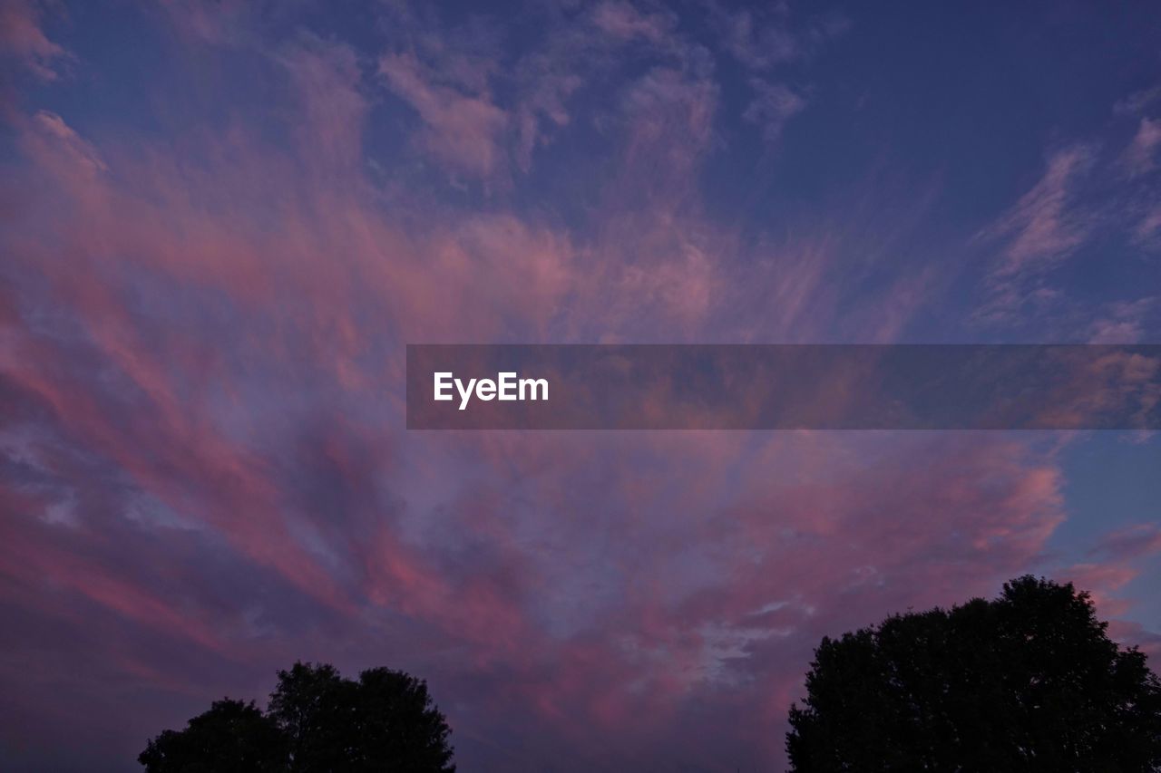 LOW ANGLE VIEW OF SILHOUETTE TREE AGAINST SKY