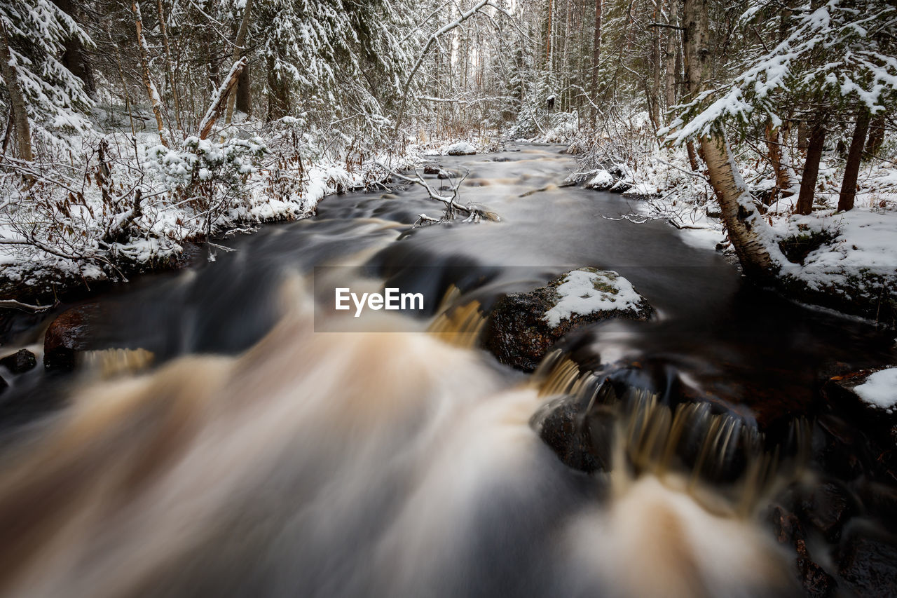 SCENIC VIEW OF WATERFALL IN FOREST