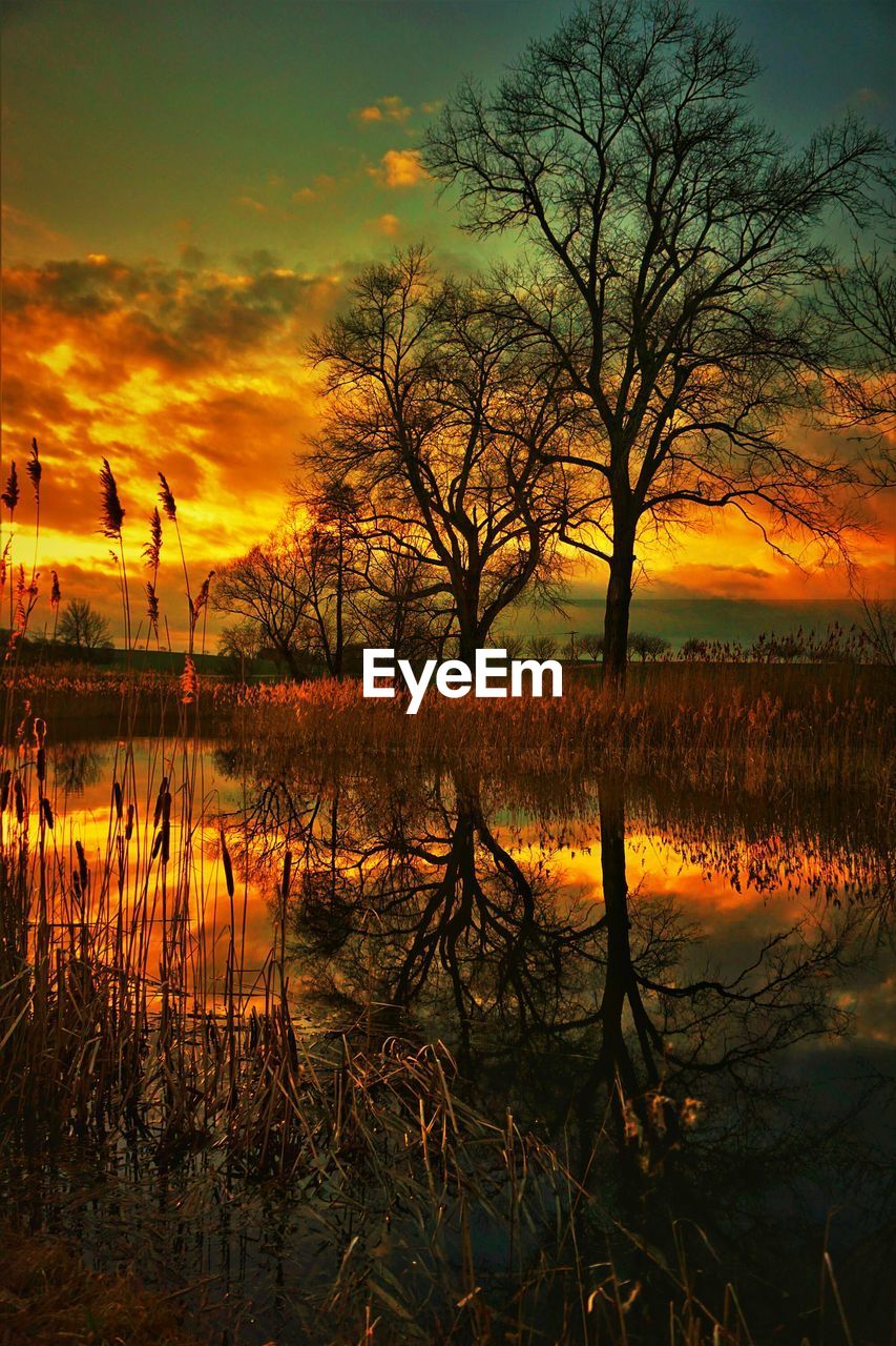 BARE TREES BY LAKE AGAINST SKY DURING SUNSET