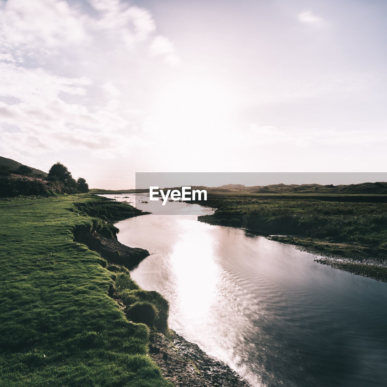 Narrow stream along landscape