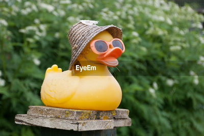 Rubber duck with straw hat on fence against