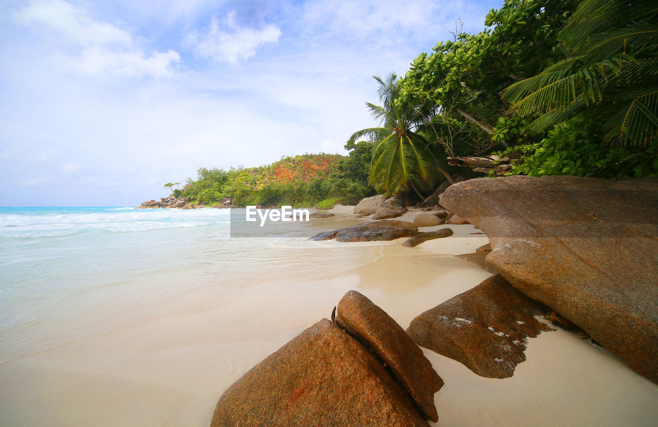 SCENIC VIEW OF BEACH