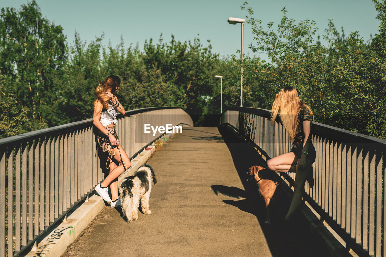 Young women with dogs standing on footbridge against clear sky during sunny day