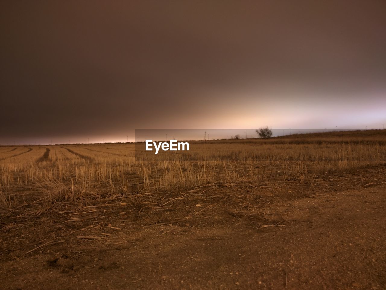 FIELD AGAINST SKY DURING SUNSET