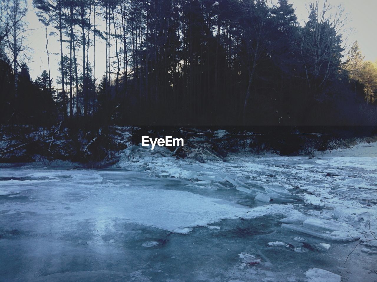 SCENIC VIEW OF SNOW COVERED LANDSCAPE