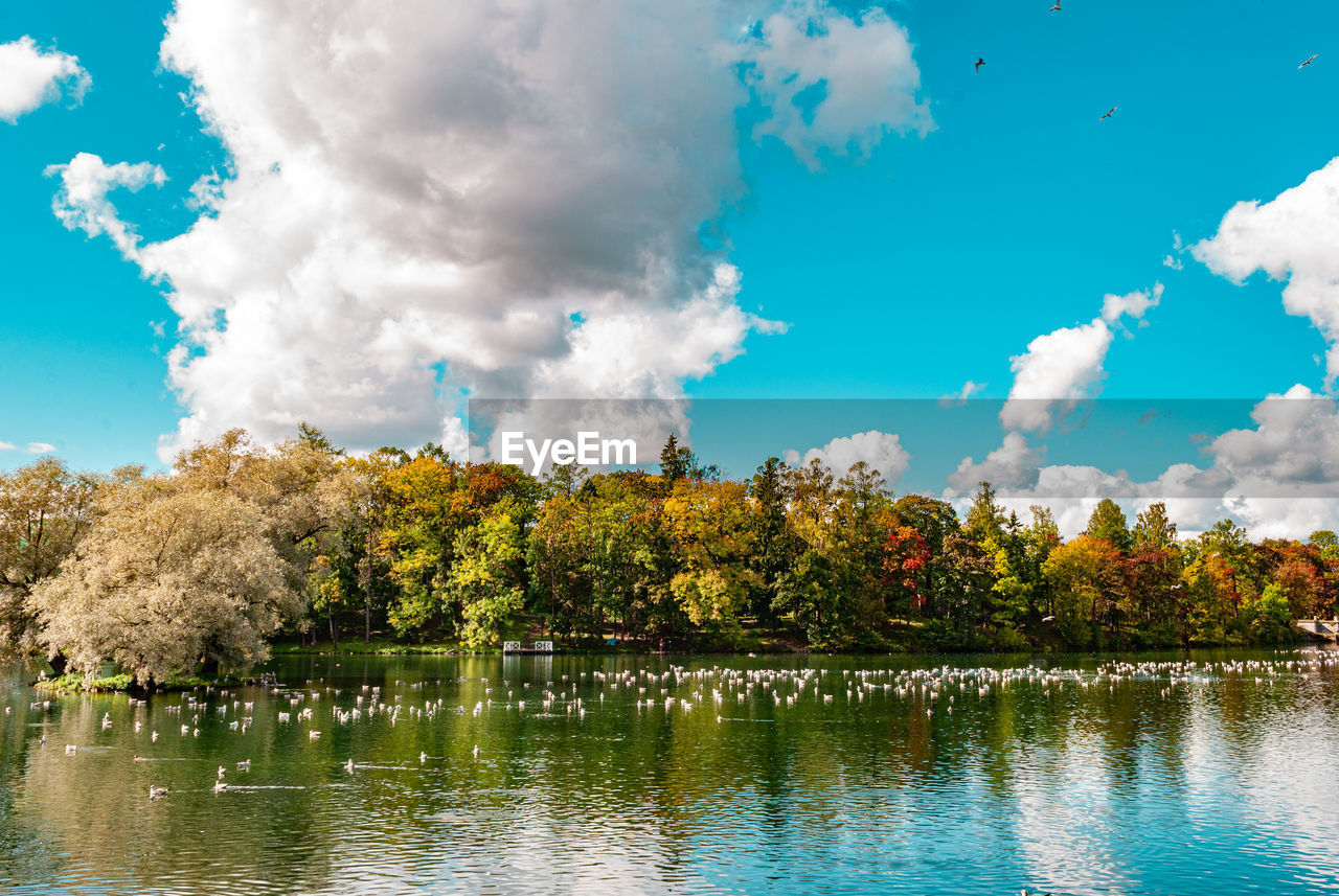 Scenic view of lake by trees against sky