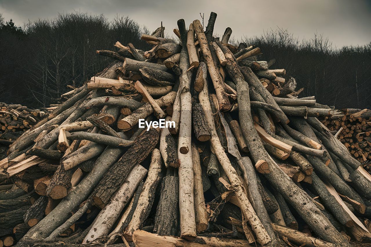 full frame shot of logs