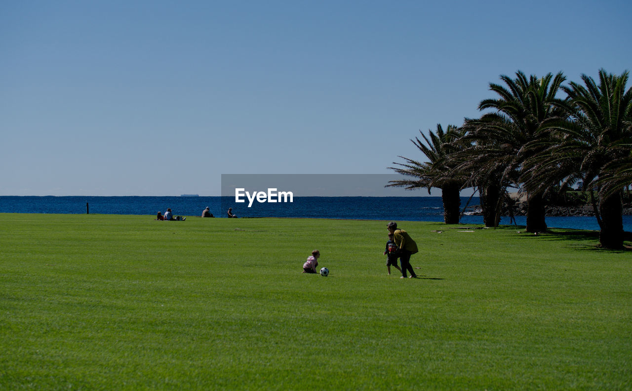 PEOPLE ON FIELD BY TREES AGAINST SKY