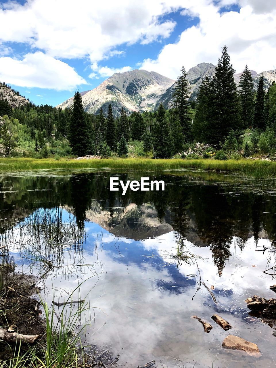 REFLECTION OF TREES IN LAKE AGAINST SKY