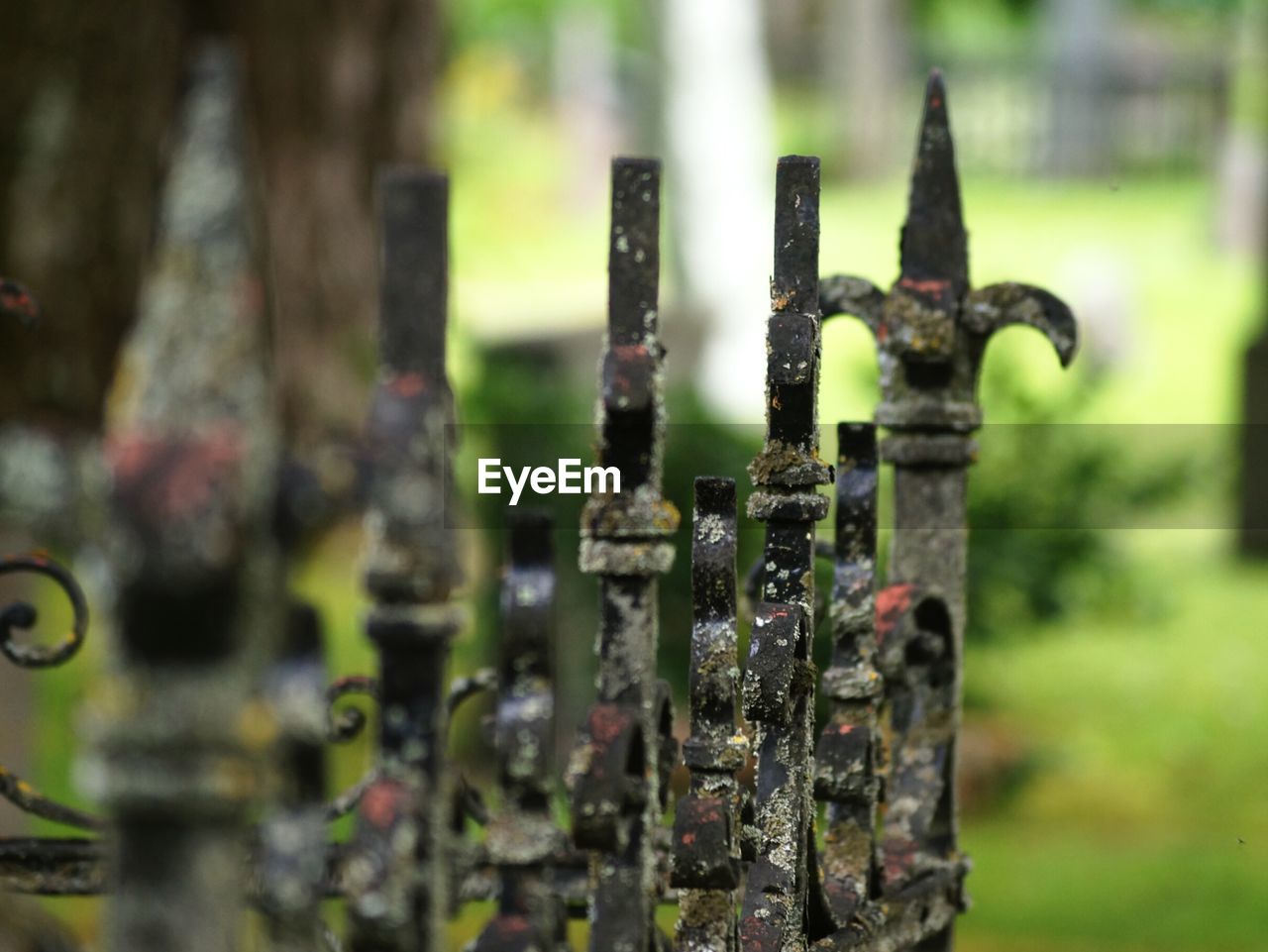 Close-up of rusty gate