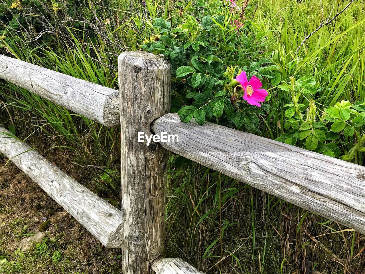 VIEW OF WOODEN FENCE ON FIELD BY TREE