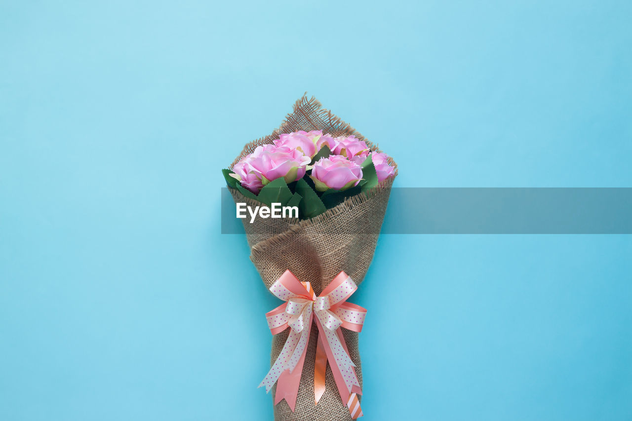 CLOSE-UP OF PINK FLOWERS AGAINST BLUE SKY